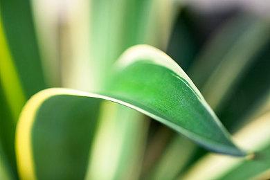 消息显示《极限竞速：地平线5》已经准备登陆PS5平台